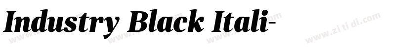 Industry Black Itali字体转换